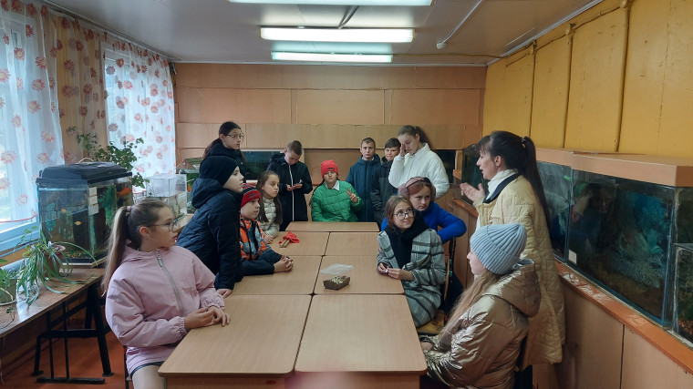 Пополняем знания, развлекаемся и отдыхаем.